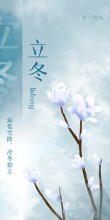 立冬时节的素雅花卉景象