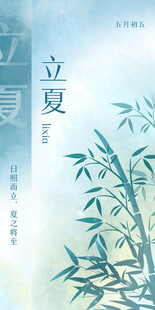 立夏时节清新翠竹图景