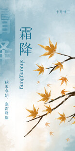 霜降时节的金黄枫叶