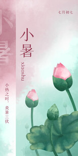 小暑时节的粉嫩荷花