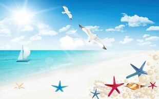 海边美景海星海鸥与帆船