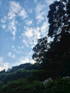 山林间的蓝天白云美景