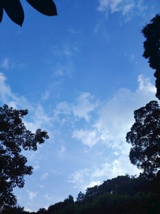 蓝天绿树间的自然景致