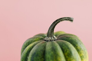 绿皮南瓜特写