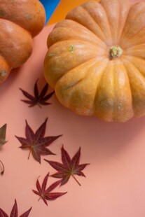 秋日南瓜与枫叶静物图