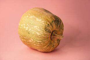 粉色背景上的金黄南瓜