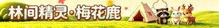 林间精灵梅花鹿