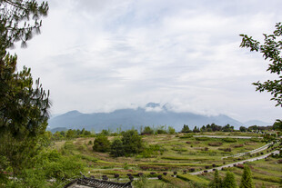 自然风景