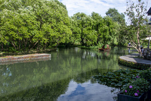 湖景绿意盎然