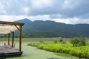 山景湿地