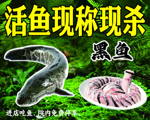 黑鱼