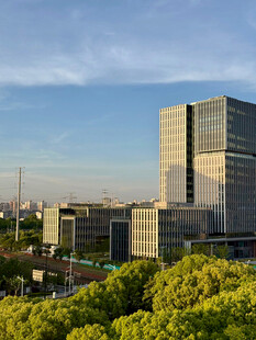 城市中高楼与葱郁绿树景观
