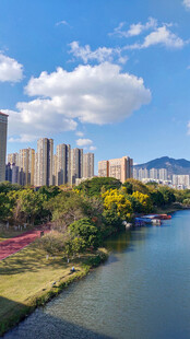 河畔城市风光