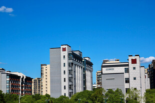 城市高楼与蓝天绿树景观