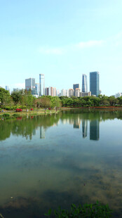 城市湖畔风光