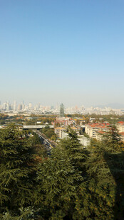 城市远景与茂密树林景观