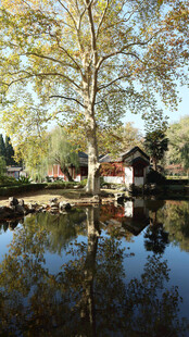 湖畔小屋倒影秋日美景