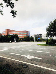 城市街道旁的建筑景观