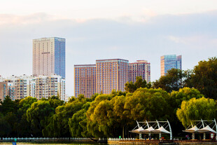 城市与绿树相映的美景
