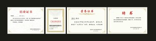 公司荣誉证书