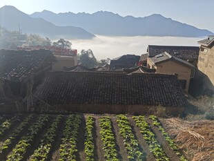 悬崖村庄