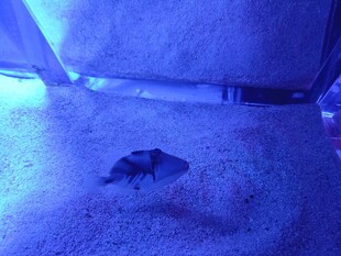 水族馆