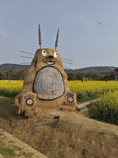 田野