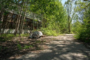 林间小道旁的废弃小屋