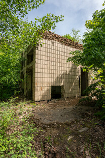 荒废小屋隐于葱郁草木间