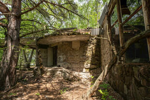 林间石砌小屋隐于自然