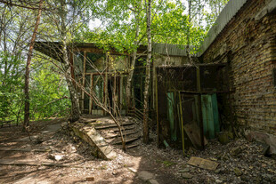 废弃林间小屋