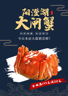 阳澄湖大闸蟹