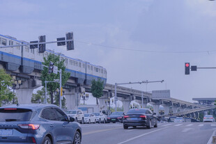 城市道路上的车辆与交通设施