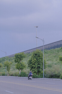 公路旁绿意盎然的骑行场景