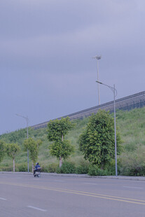公路旁绿树边一人骑行