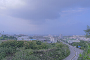 俯瞰城市与绿意景观