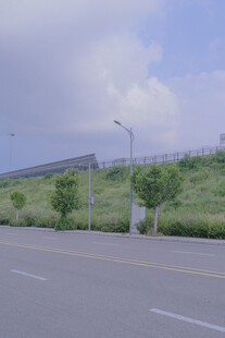 公路旁绿意盎然的风景