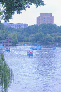 湖畔游船景