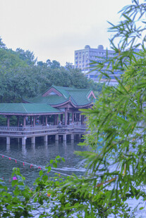 中式廊桥伴绿树映湖景