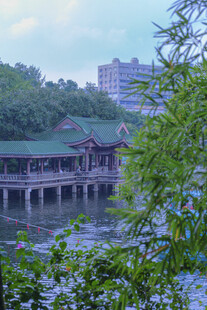 河畔古桥旁的绿意景致
