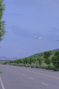 宽阔公路旁绿意盎然景色