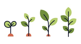 绿植成长插画