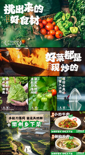 绿色多样特色农家菜