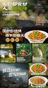 绿色农家特色美食展示