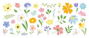 清新花卉素材
