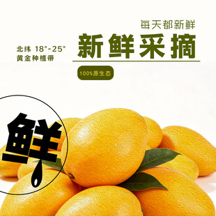 新鲜采摘的美味芒果