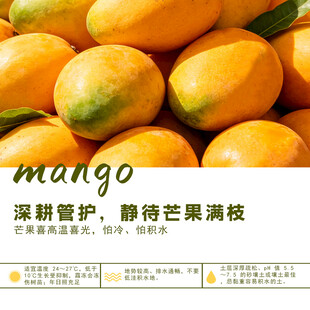 甜蜜视觉享受