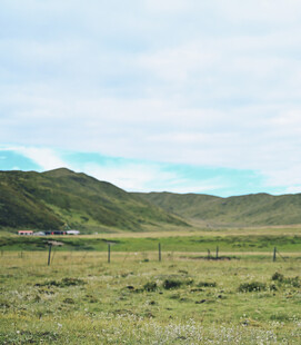 草原山丘风景