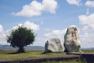 草原巨石景观