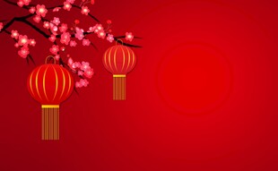 红灯笼与绽放花枝背景